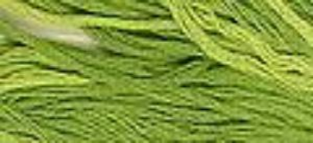 Frog Legs - CC – The Daily Stitcher