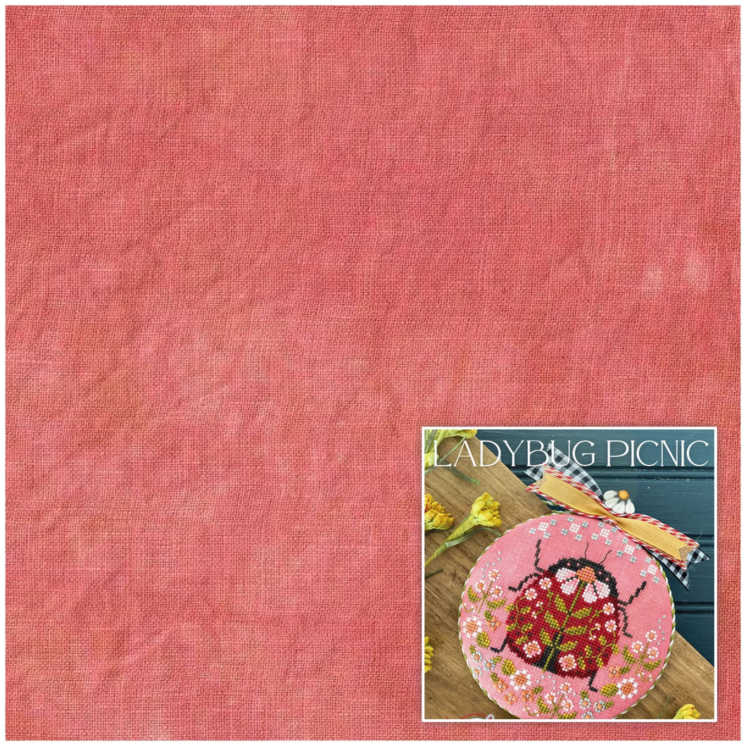 32 ct Pomegranate Linen 9x13