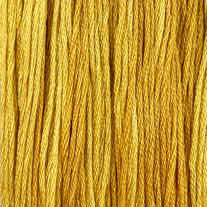Marigold - Colour & Cotton