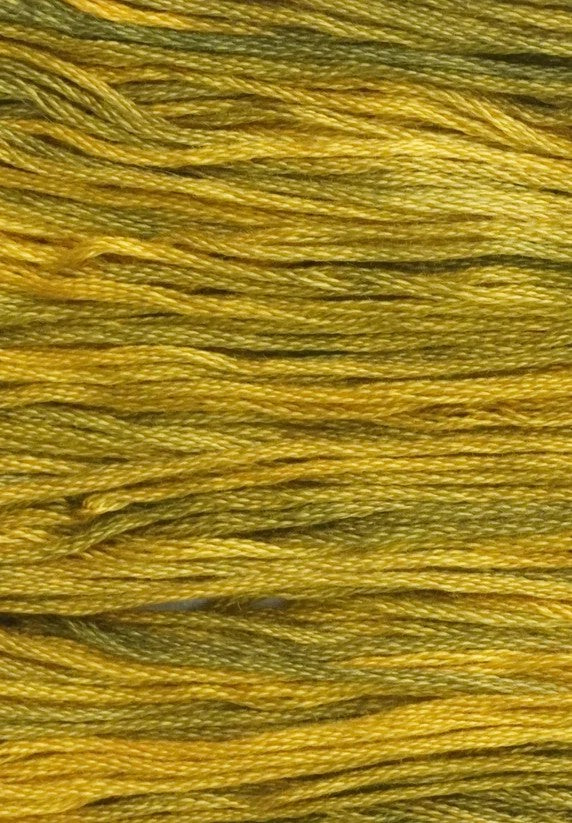 Tiger Lily -0115 GA