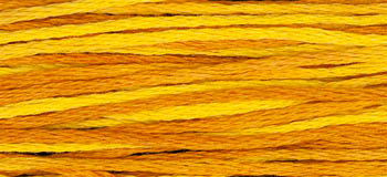 Marigold -2225 WDW