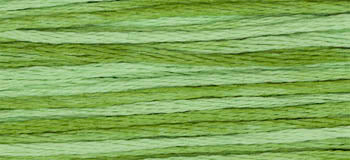 Meadow -2176 WDW