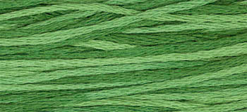 Monkey Grass -2168 WDW