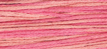 Peony -2271 WDW