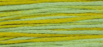 Pistachio -2206 WDW