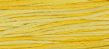 Saffron -2223 WDW