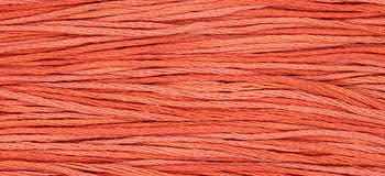 Sockeye - 2249 WDW
