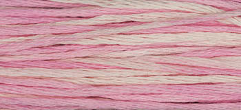Sophia's Pink - 1138 WDW