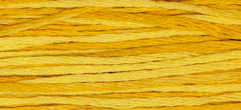 Squash -2224 WDW