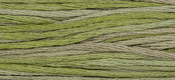 Thyme -1256 WDW