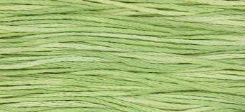Wasabi -1120 WDW